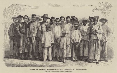 Çinli Göçmen Türleri, Guadeloupe