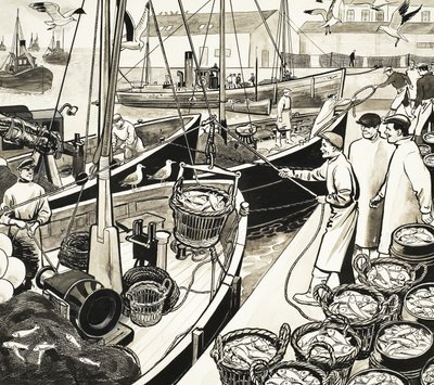 Quayside balık ile tanımlanamayan balıkçı limanı by English School