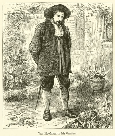 Van Hoofman Bahçesinde (gravür) by English School