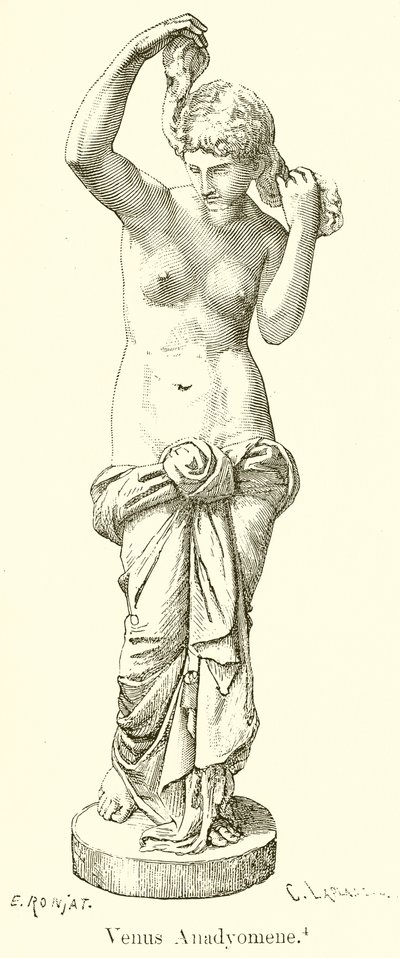 Venüs Anadyomene by English School