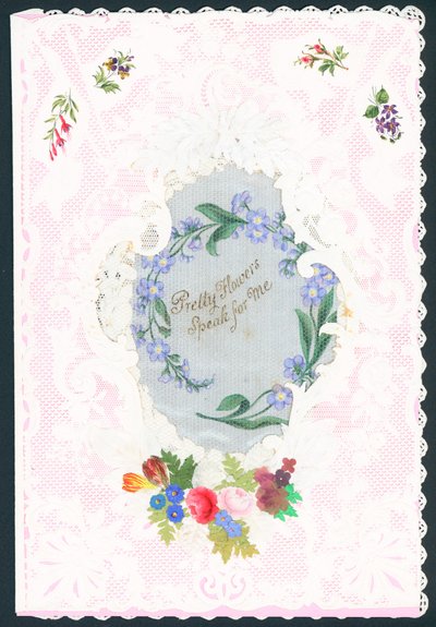 Victoria Sevgililer Günü by English School