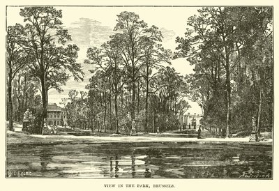 Parkta görüntülemek, Brüksel by English School