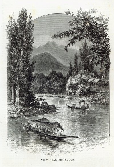 Serinugur