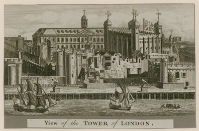 Londra Kulesi'nin görünümü by English School