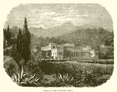 Genç Pliny