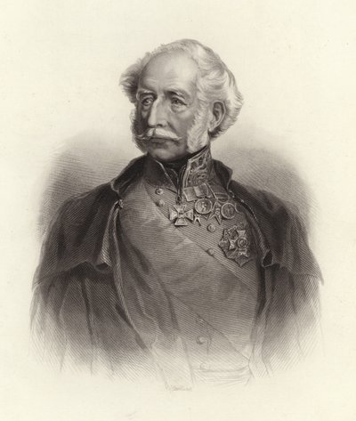 Vikont Gough by English School