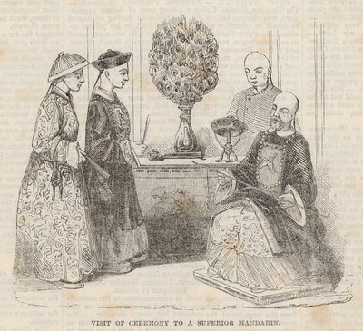 Üstün Mandarin