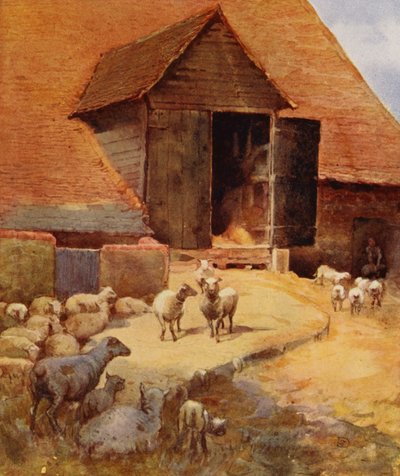 Kesilmeyi Beklerken (renkli taş) by English School