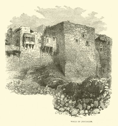 Kudüs Duvarları by English School