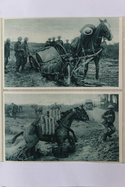 Çamurda batan savaş atları, Kuzey Fransa, Ağustos 1917 by English School