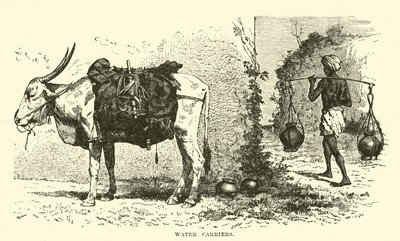Su taşıyıcıları by English School