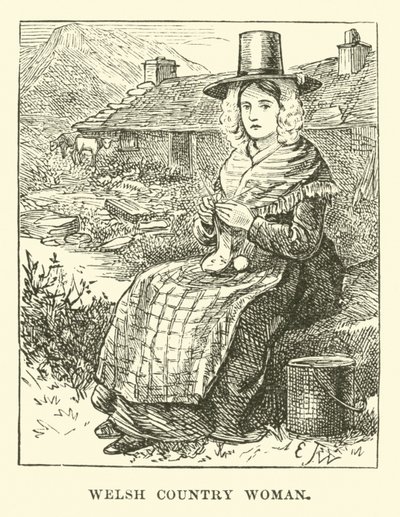 Galli kadın by English School