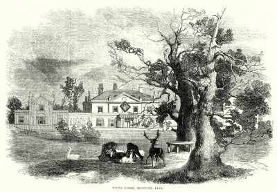 White Lodge, Richmond Park (gravür) by English School