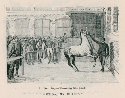 Whoa, My Beauty - Ringde adımlarını gösteriyor by English School