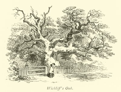 Wickliffs Meşe by English School