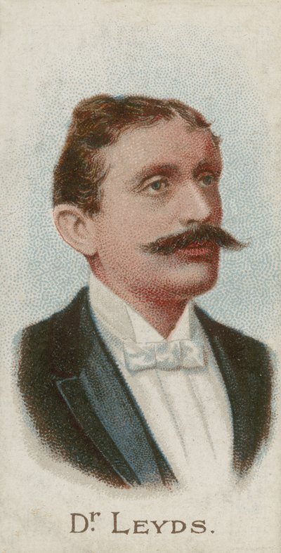 Willem Johannes Leyds, Hollandalı avukat ve devlet adamı by English School