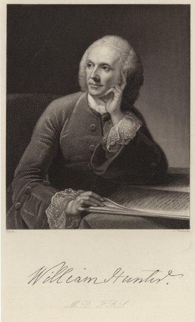 William Avcı by English School