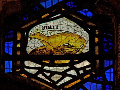 Bir su samurunu gösteren pencere s2 by English School