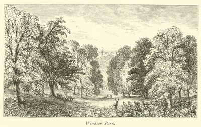 Windsor Parkı by English School