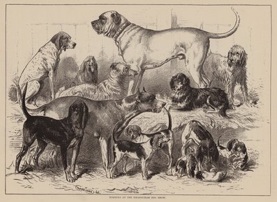 Birmingham Köpek Gösterisinde Kazananlar (gravür) by English School