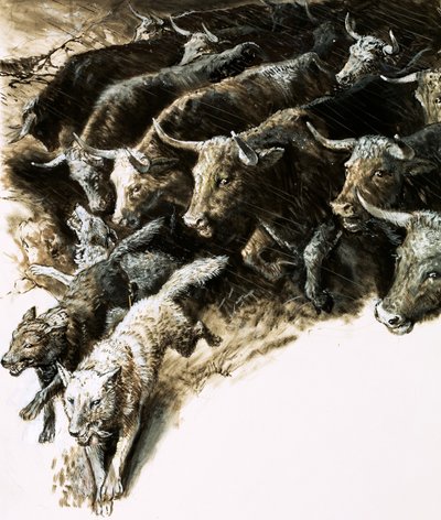 Kurtlar izdihama yakalandı by English School