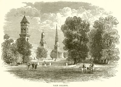 Yale Koleji by English School