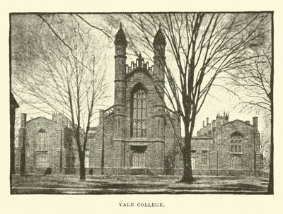 Yale Koleji by English School
