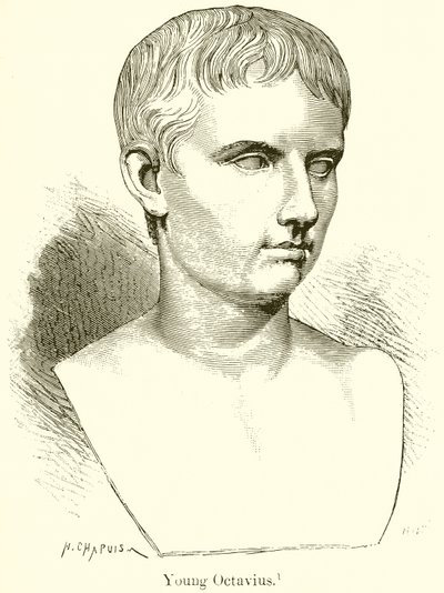 genç ahtapot by English School