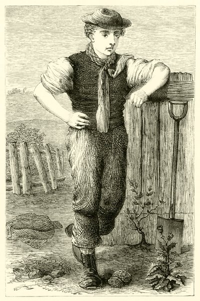 Genç bahçıvan (gravür) by English School