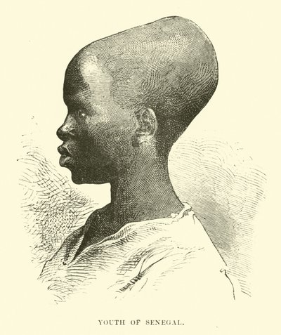 Senegal gençliği by English School