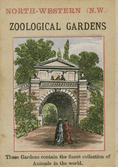 Hayvanat Bahçeleri by English School