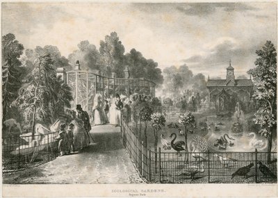 Hayvanat Bahçeleri, Regents Parkı by English School