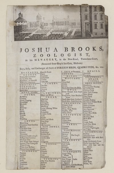 Zoolog, Joshua Brooks, ticari kart by English School