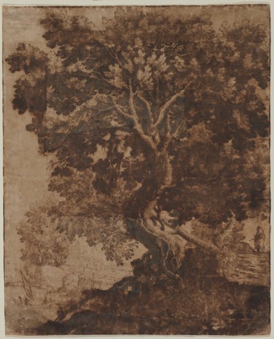 Bir Manzaradaki Ağaç, 17. yüzyılın ortalarında. by Ercole Bazicaluva
