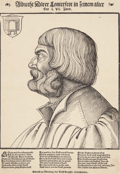 Albrecht Dürer by Erhard Schon