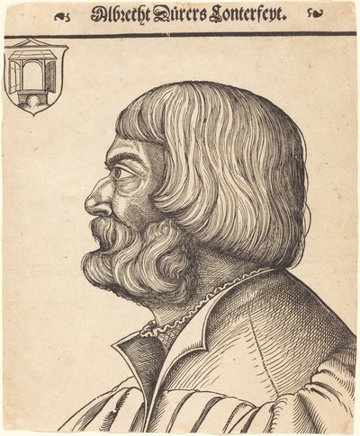 Albrecht Dürer Elli Altı Yaşında by Erhard Schon