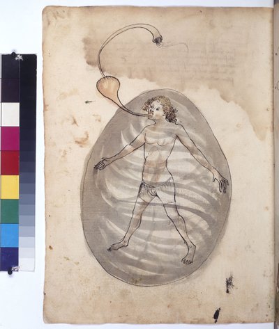 Tam sayfa: dalgıç, 1430 civarı (renkli kalem çizimi) by Erich Lessing