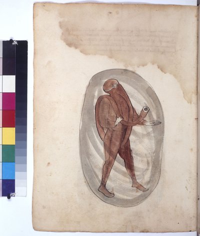 Tam sayfa: dalgıç kıyafetli dalgıç, 1430 civarı (renkli kalem çizimi) by Erich Lessing