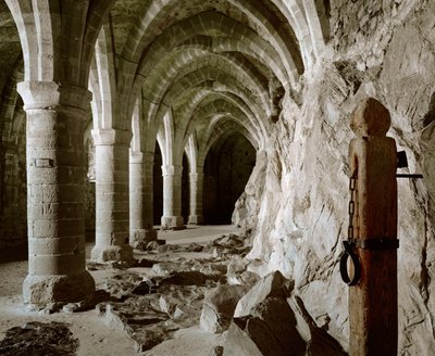 Mahzenlerin gotik tonozları, Şato, Chillon, İsviçre (fotoğraf) by Erich Lessing