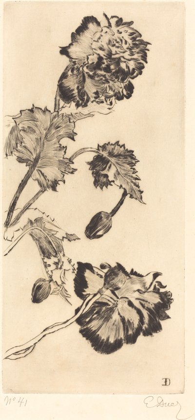Çiçekler (Fleurs) by Ernest Ange Duez