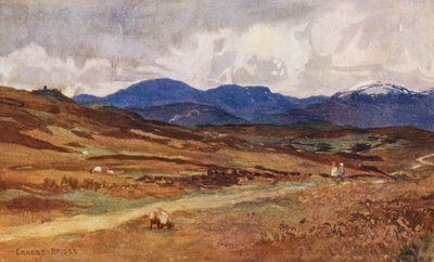 Lochinvar