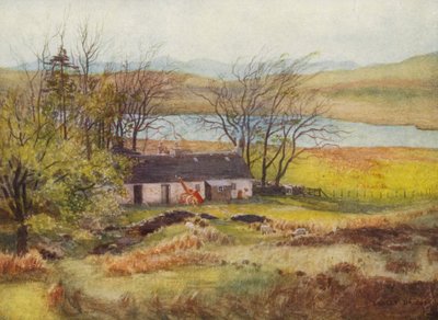 Loch Wee