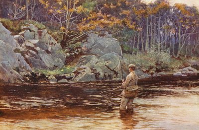 Galloway