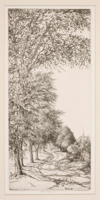 Taşra yolu by Ernest Haskell