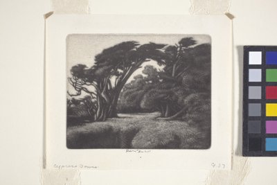 Selvi Bower (mezzotint) by Ernest Haskell