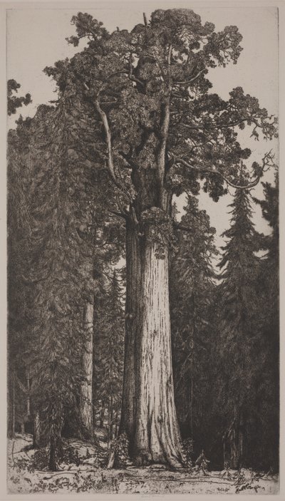 Genel Sherman by Ernest Haskell