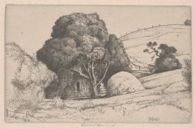 samanlık by Ernest Haskell
