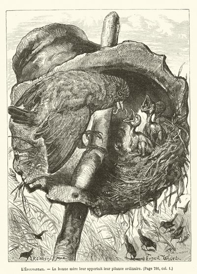 Korkuluk, iyi anne onlara her zamanki parasını getirdi by Ernest Henry Griset