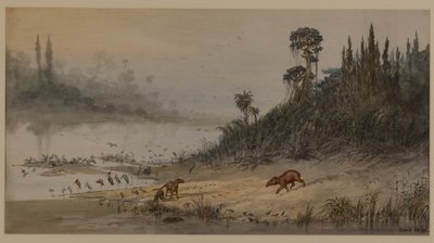 Manzara, 1871 by Ernest Henry Griset
