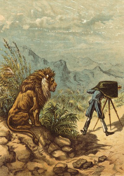 Umut verici görünüm, aslan fotoğrafçıyı gözlemler (chromolitho) by Ernest Henry Griset